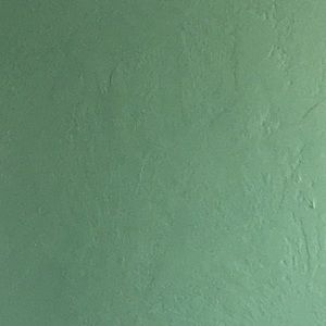 Meet your Posher, Savana